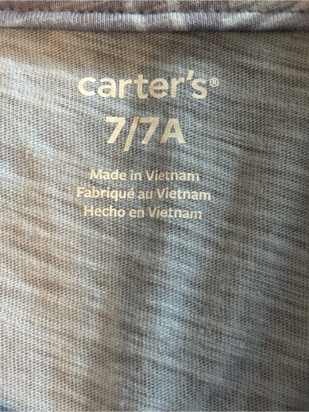 Carter's Gray Kids Button Down Shirt